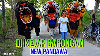 DI KEJAR BARONGAN‼️NEW PANDAWA LIVE  NGETUK TANGGUNG HARJO