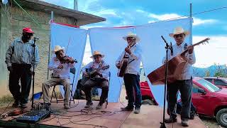 Los Gavilanes, la auténtica música de cuerdas