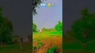 view 😱#villagelife #nature #farmer #vlogger #shortvideo #farming #shorts #shortfeed