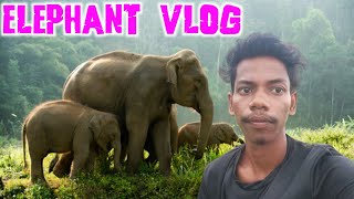 New santali video 2024 | Santali viral video 2024