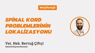 Spinal Kord Problemlerinin Lokalizasyonu ''Vet. Hek. Bertuğ Çiftçi''