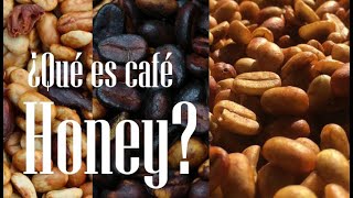 ¿Qué es un café de proceso Honey?