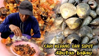 PANTAS SAJA KERANG DAN SIPUT INI BANYAK DICARI TERNYATA RASANYA ENAK APALAGI DIMASAK SAMBAL PEDAS