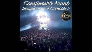 So Floyd Tribute - Comfortably Numb - Grenoble 2024 Grandiose la fin du concert 🎸🎶👌 #shortvideo