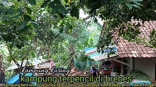 INDAHNYA KAMPUNG DI BREBES"SUASANA INDAH DI KAMPUNG JAUH KEMANA MANA.