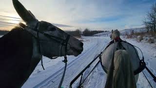 Don't Spend Winter Looking out the Window - Get your Cavallo Hoof Boots Ready!