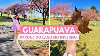 PASSEANDO POR GUARAPUAVA, E CONHECENDO UM RESTAURANTE QUE É UMA DELICIA  | VANNA VLOGS