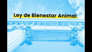 Sobre la Ley de Bienestar Animal #Veterinaria #Actualidad #Animales #bienestaranimal