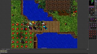 Tibia 7.6 (Fortera. 31 Mage with Team does The Explorer Society: The Lizard Urn Quest)