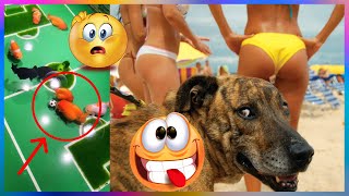 【FUNNY VIDEO】FISH ARE PLAYING SOCCER!!! (FUNNY DOGS, CATS AND ANIMALS)