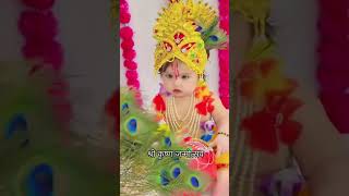 Happy birthday #krishnajanmashtami #krishna #radhakrishna #shorts #vikashpundhirvlog