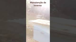 Manutenção de inverno nas abelhas