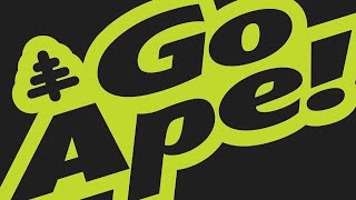 Go Ape - Coombe Abbey Coventry