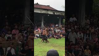 Presean diacara budaya pura lingsar