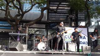 Lúcida Fila - Glorieta de los Insurgentes - 02.01.2020