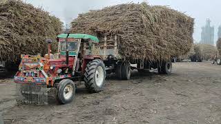 Competion Belarus MTZ 50 Old Model Vs Fiat 640 Is Powerful Tractor Sugarcane Loaded Trailer