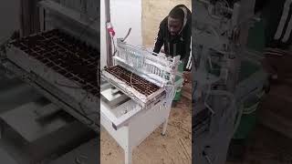 Tomato seeding machine