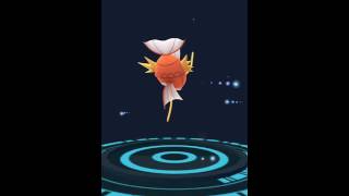 Pokemon go evolving the weakest magikarp into Gyarados