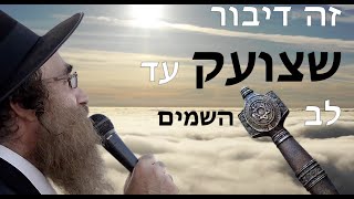 הרב שלמה עופר שליט״א כי תצא למלחמה על אויבך | דיבורים של אמת