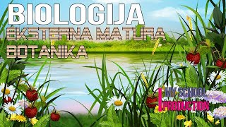 BOTANIKA  Eksterna matura  Biologija Osnovnih škola