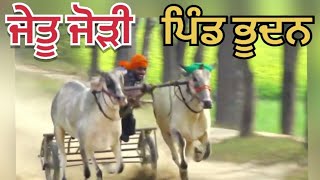 Ox Races Bhudan ( Malerkotla ) | Bull Races in India | khalsa tv live ox race |