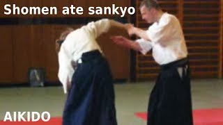 Aikido - SANKYO - on shomen ate strike attack, by Stefan Stenudd in 2003