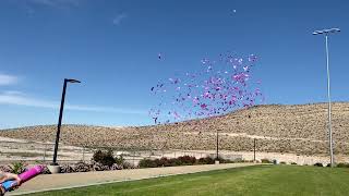 Gender Reveal Confetti Cannon: Pink