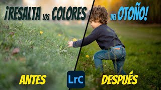 🍁 Cómo retocar 📸 FOTOS y resaltar los COLORES del OTOÑO 🍂