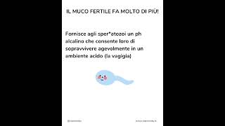 Eccitazione o muco fertile? #ovulazione #mucofertile #gravidanza #incinta #fertilità