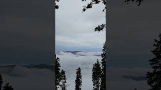 I ❤ Austria - morning above the clouds #iloveaustria #austria #relax #clouds #hiking