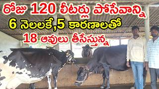 మా వల్ల కావట్లేదు We think 4 pillars for dairy farm @MalleshAdla