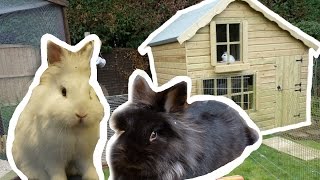 Bunny Playhouse Tour | January 2017