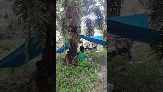 camping hujan deras