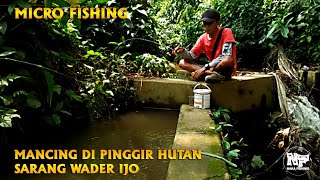 FULL STRIKE...Micro Fishing di spot parit pinggir hutan | GACOR ABIS #microfishing #mancingnilem