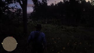 Ya'll ever seen this? [Red Dead Redemption 2]