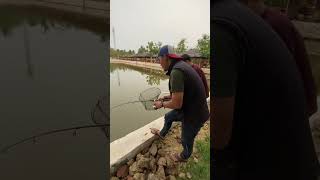 Strike ikan patin sampai rell menjerit #trending #viral #video #shortvideo #mancing #short #like