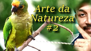 Arte da Natureza #2 - Mais resultados.