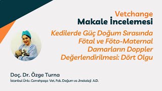 Kedilerde Güç Doğum Sırasında Fötal ve Föto-Maternal Damarların Doppler Değerlendirilmesi: Dört Olgu