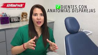 Stripping Dental  Dra. Joana Campolargo