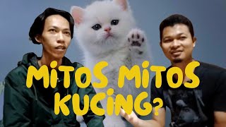 APAKAH MITOS KUCING INI FAKTA ?? GIMANA MENURUT KALIAN?