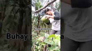 buhay probinsya #foryou #village #shorts #shortvideo  @magomarcy9