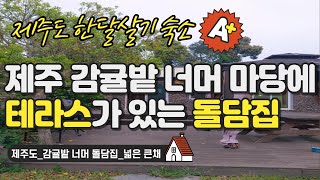 제주도 #한달살기 숙소_감귤밭 너머 돌담집_넓은 큰채