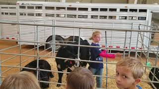 Ag Farm Field Day 2017