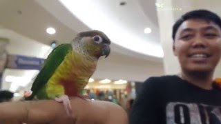 BURUNG PINTAR RAMAIKAN PAMERAN REPTIL