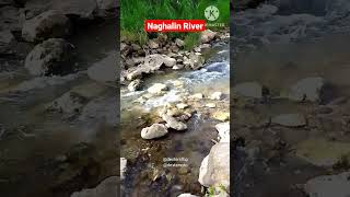 Naghalin River in Catmon Cebu #shorts #river