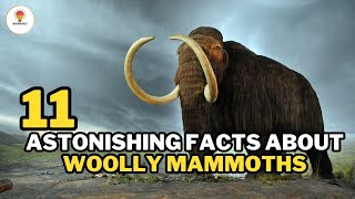 11 Facts About Woolly Mammoths | @Mythosfact