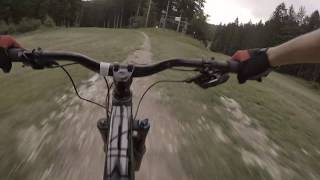 Bikepark Lavarone  - Rum Runner -       // Commencal Meta V4.2 //