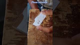 woodart diy - wooden kota making   #woodworking #short