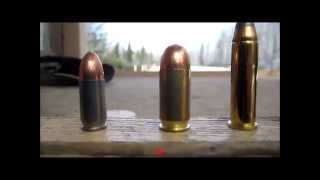 Speed Shooting S&W 460V Magnum (for fun)