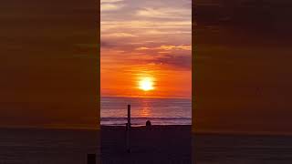 Sound of Waves ASMR 🌊 - Sunset at Venice Beach #shorts